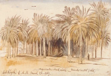 Salahiyeh